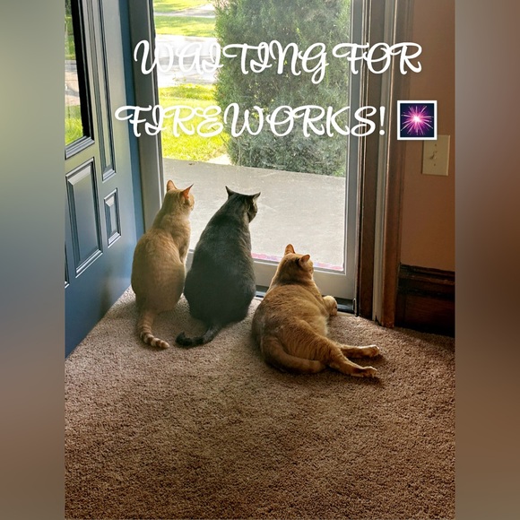 📣LIKE THIS LISTING TO GET NOTIFICATIONS WHEN I GO LIVE 📣 - Picture 3 of 7